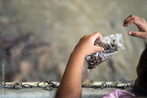 woman with seashell on the beach