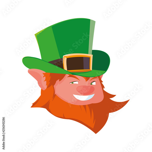 saint patrick lemprechaun head character