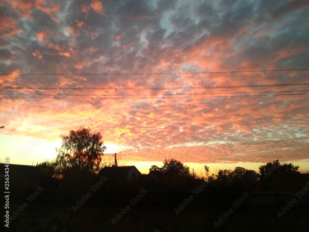 Obraz premium sunset in park