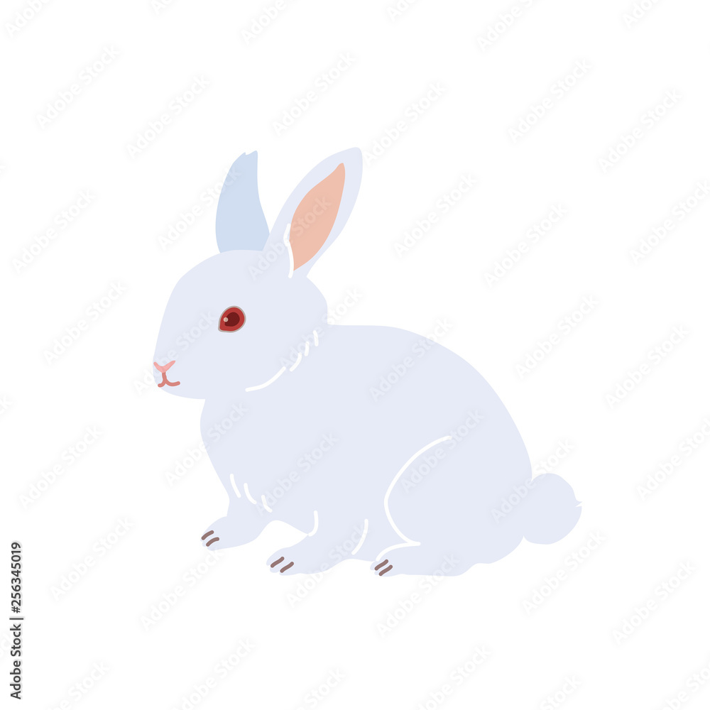うさぎ イラスト うさぎ イラスト