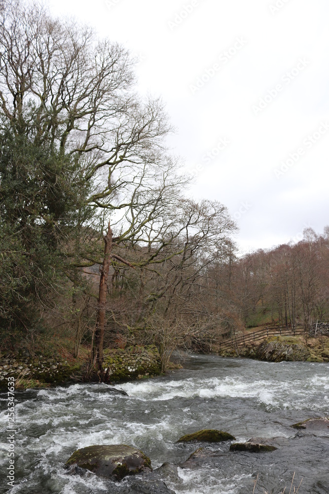 river in winter forest river in winter forest