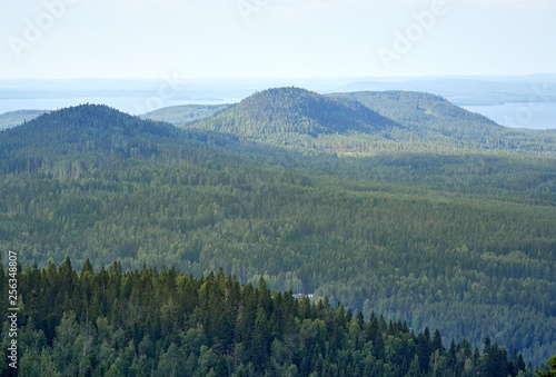 Summer landscape view from the top of the UkkoKoli, a fell at the national park Koli, Joensuu, Finland, the land of a thousand lakes. photo