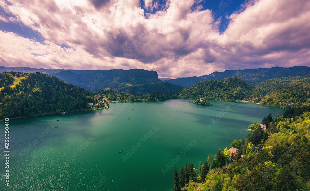 Obraz premium Lake Bled with St. Marys Church of Assumption on small island. Bled, Slovenia, Europe. The Church of the Assumption, Bled, Slovenia. The Lake Bled and Santa Maria Church near Bled, Slovenia.