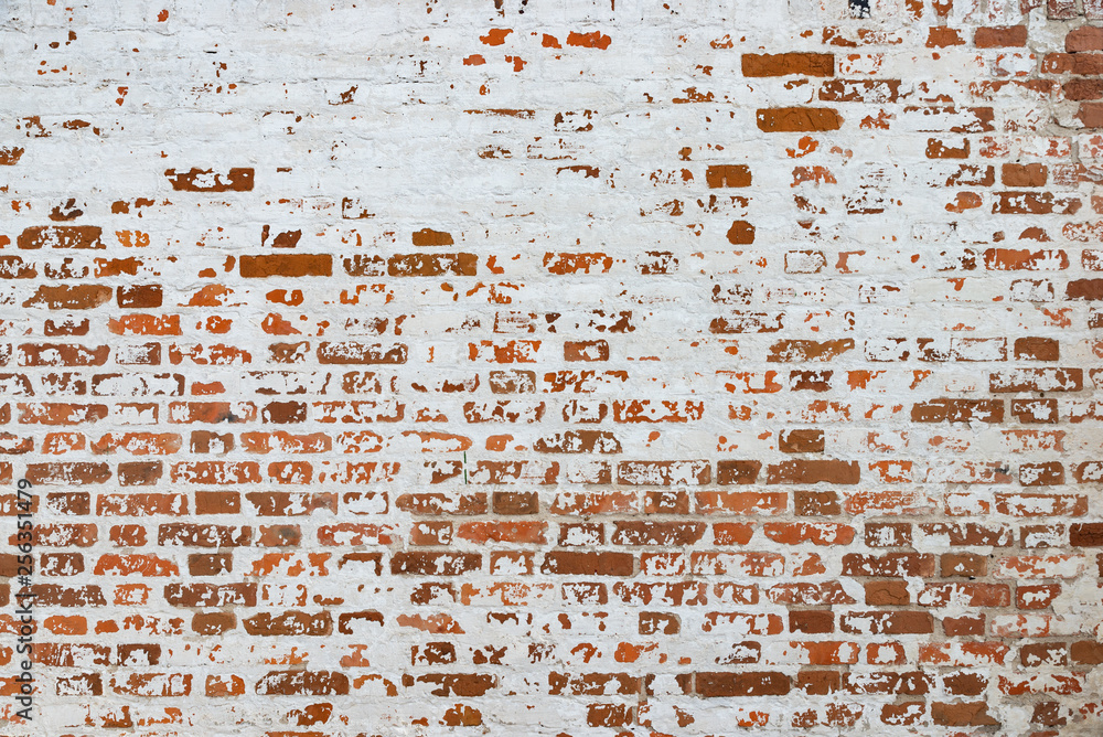 Fototapeta The texture of the old brick wall painted white with peeling paint