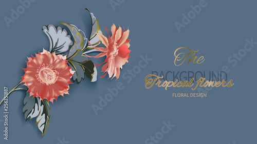 Wallpaper Mural Composition from floral bouquet of exotic cactus flowers and tropical leaves, greenery. Torontodigital.ca