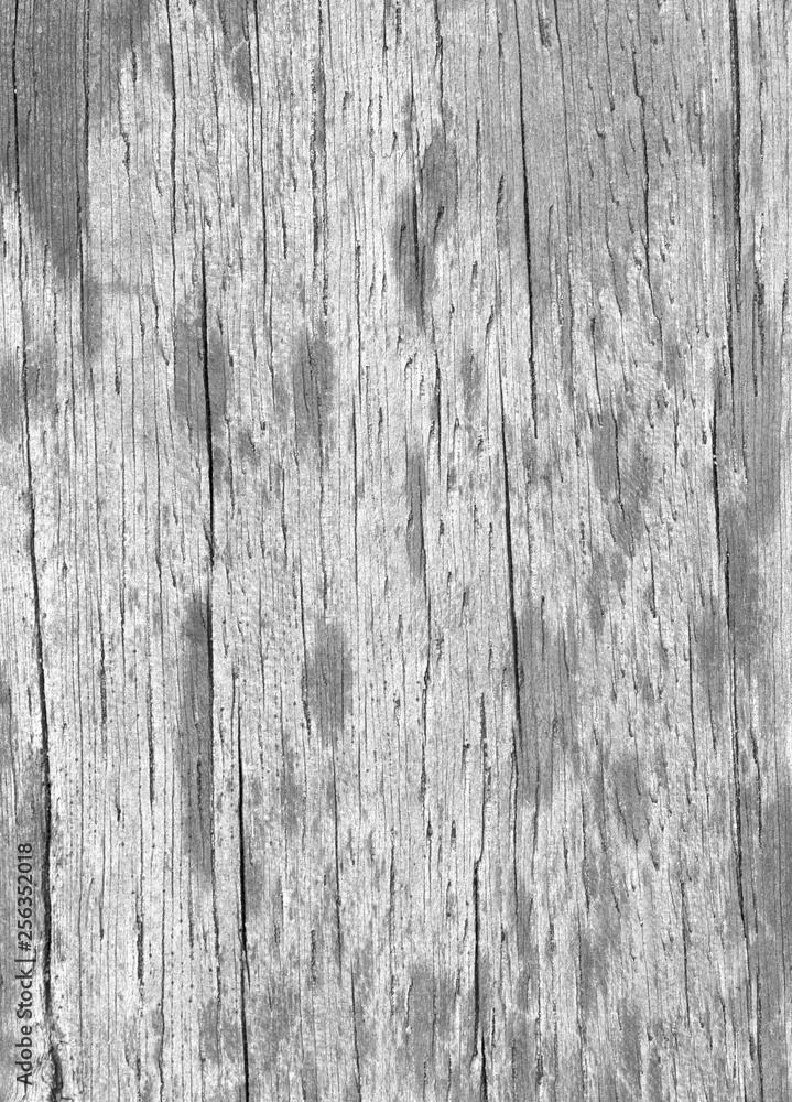 Obraz premium wood