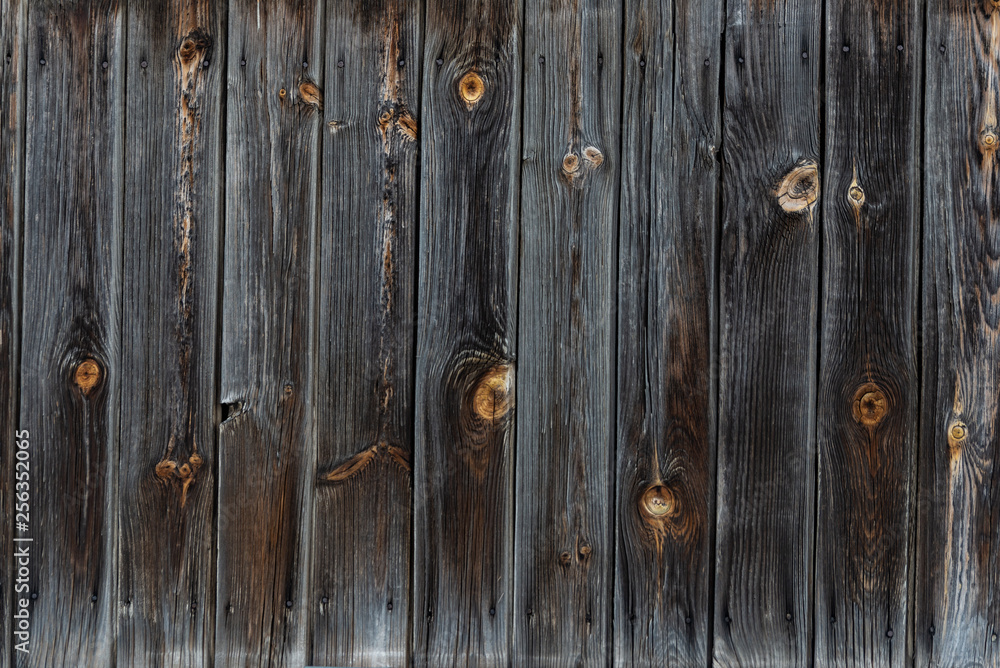 Fototapeta premium The texture of the old wooden fence dark color