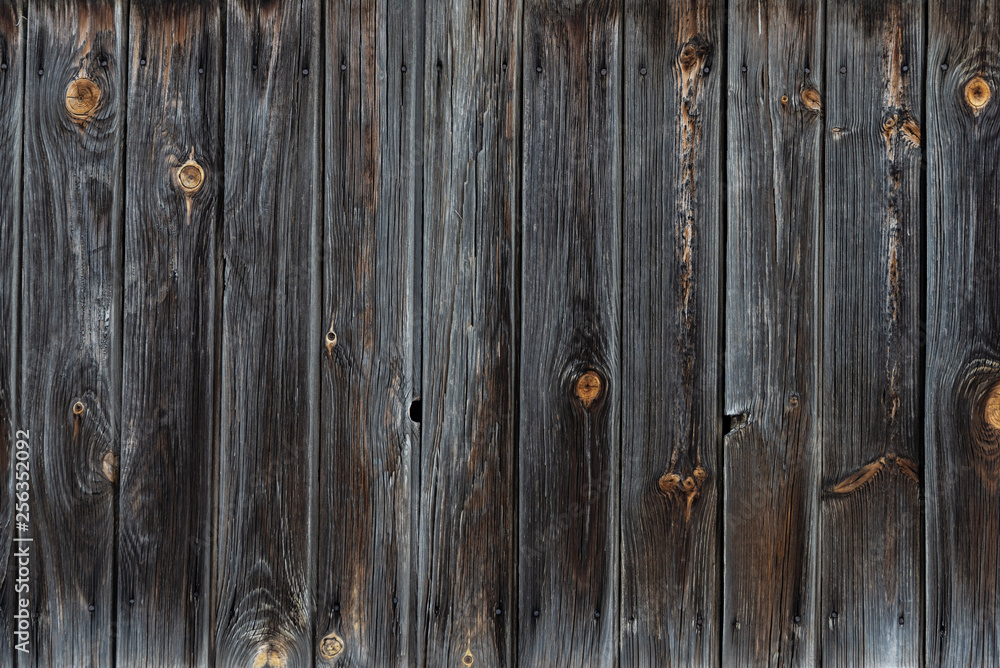 Fototapeta premium The texture of the old wooden fence dark color