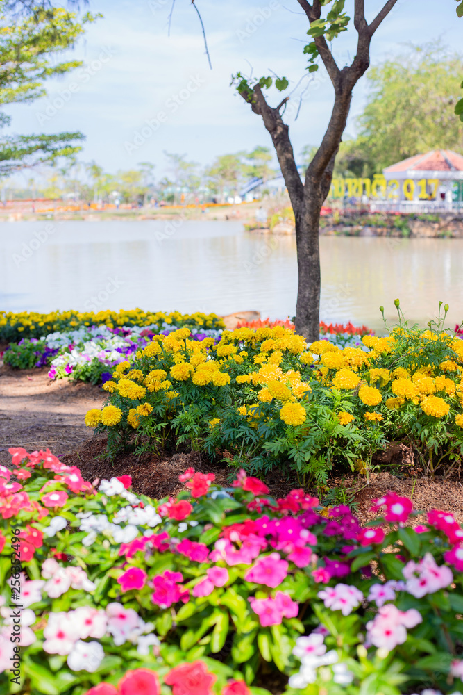 Obraz premium Flowers in garden.