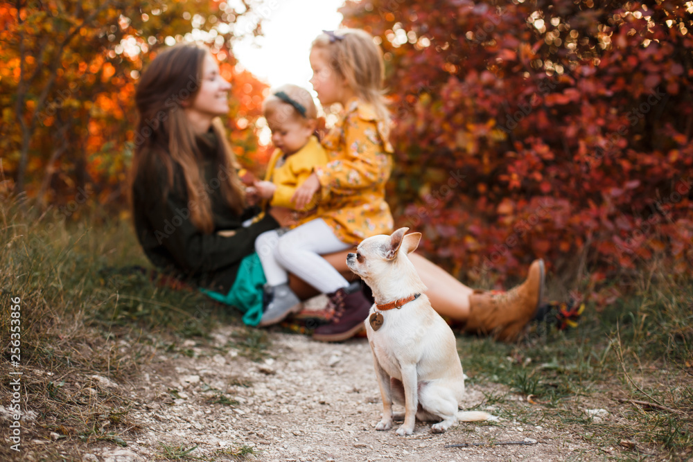 Fototapeta premium Beautiful young mother and her little daughter walking in summer park. Woman and cute kid girl spending time together. Happy family , sunny day