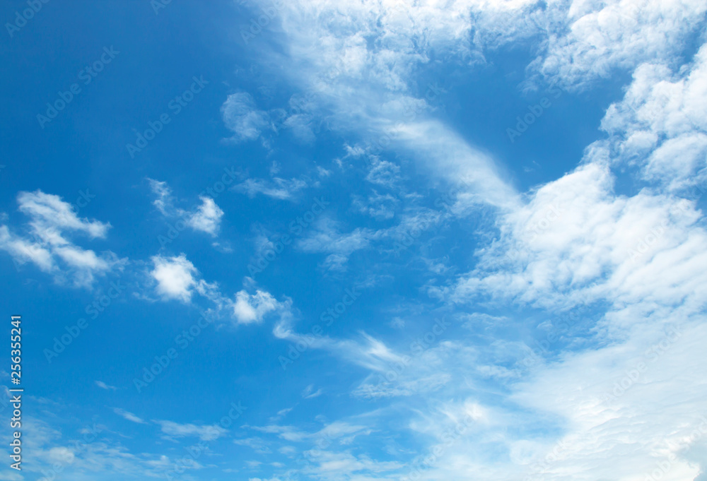 Fototapeta premium sky