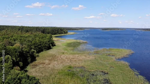 Wallpaper Mural AERIAL: Flying Above the Reeds Growing on the Beautiful Lake Shore Torontodigital.ca
