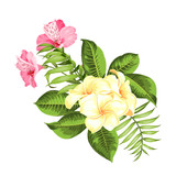 Exotic flowers bouquet of color bud garland. Label with plumeria flowers. Bouquet of aromatic tropical flowers. Invitation card template with color flowers of alstroemeria. Vector illustration.