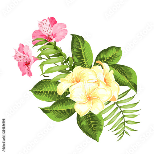 Exotic flowers bouquet of color bud garland. Label with plumeria flowers. Bouquet of aromatic tropical flowers. Invitation card template with color flowers of alstroemeria. Vector illustration.