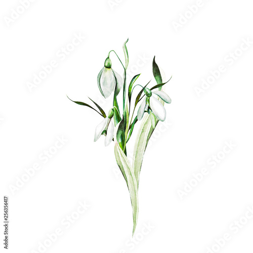 Slika na platnu Watercolor wedding bouquet with snowdrop flowers.