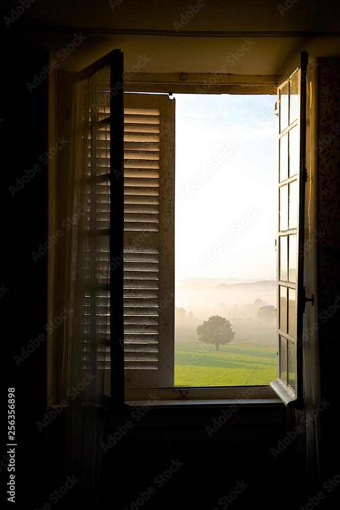 Fototapeta premium window with a view