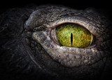 Scary eye of a crocodile. Green eye close up.