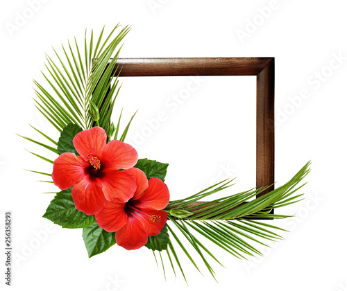 Red hibiscus flowers and pa...