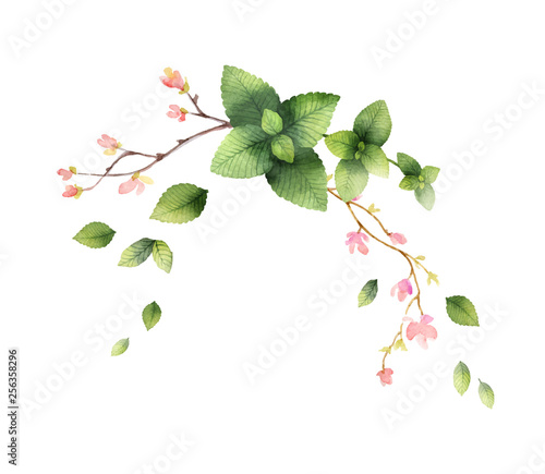Watercolor vector hand painting illustration with pink flowers and green mint leaves.