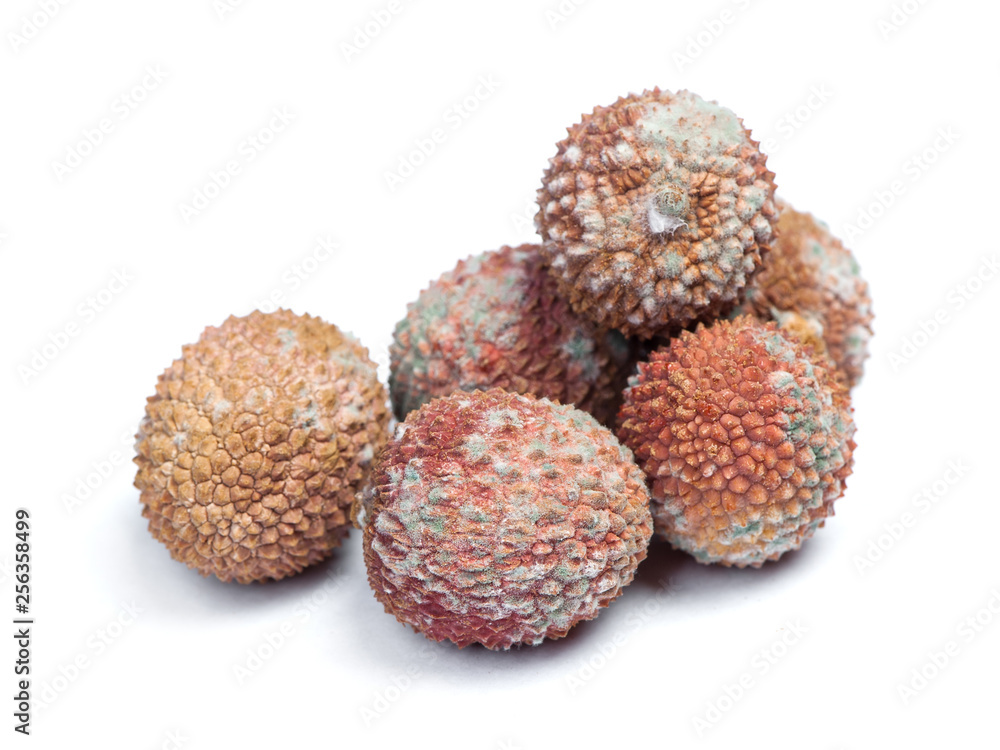 Group of rotten lychees fruits Group of rotten lychees fruits