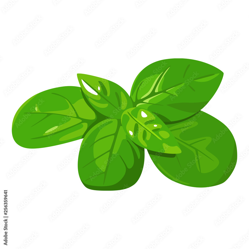 ハーブのイラスト 料理にも使われるバジル Stock Vector Adobe Stock