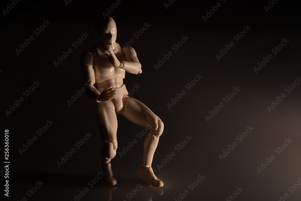 Karateposition - Figurine