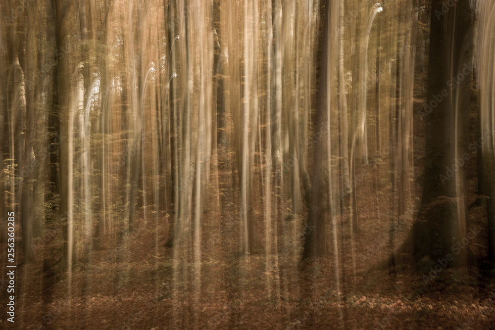 Obraz premium Schwindel - Symbolbild