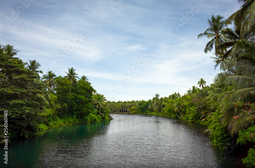 Tropical Subangdaku River landscape in Sogod, Leyte - Philippines