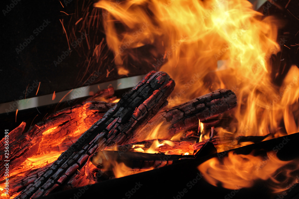 Fototapeta premium A shot of burning firewood in the fireplace. Close-up. Burning wood for a barbecue. Smoke and sparks. Fire background.