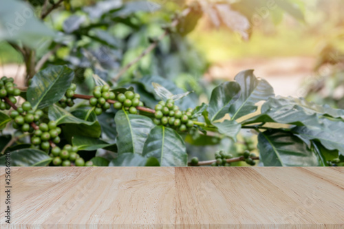 Wooden tabletop on blurred coffee plantations background, can be used for display or montage your products..