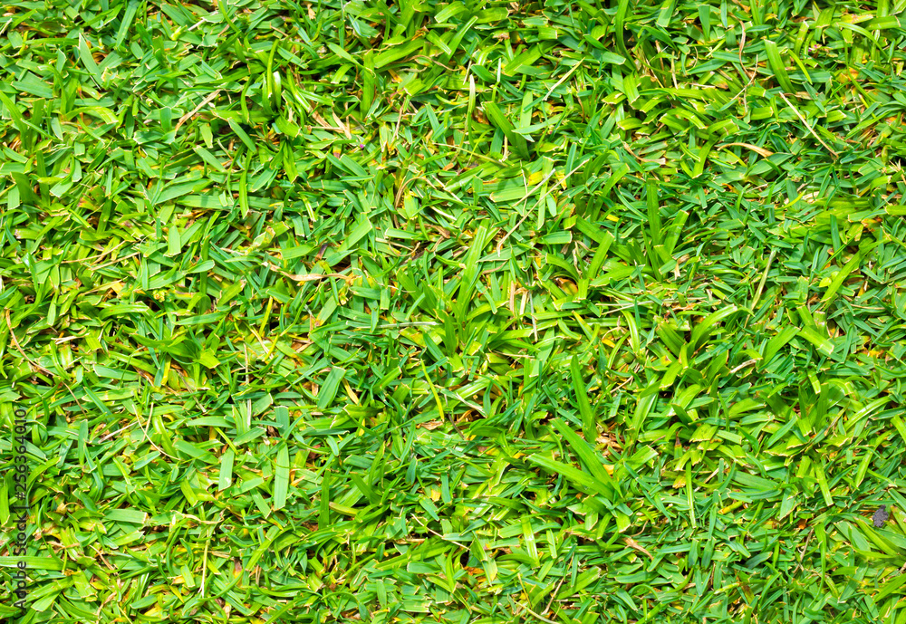Green artificial grass texture background Green artificial grass texture background