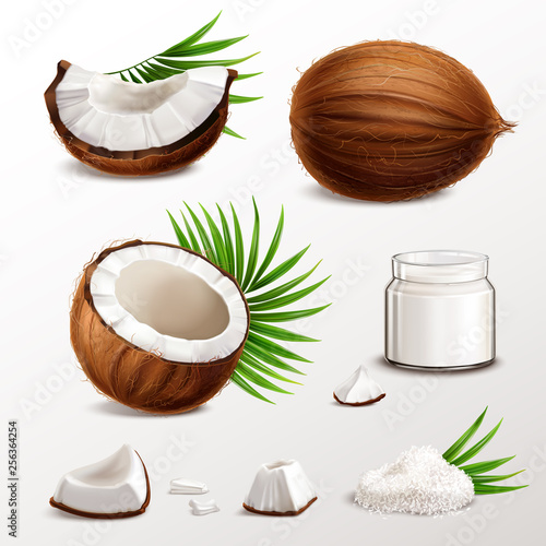 Coconut Realistic Set  photo