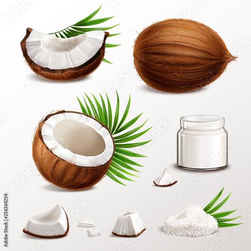 Coconut Realistic Set 