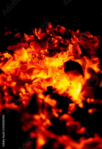 burning firewood on black background