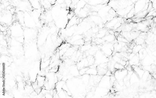 marble white texture background