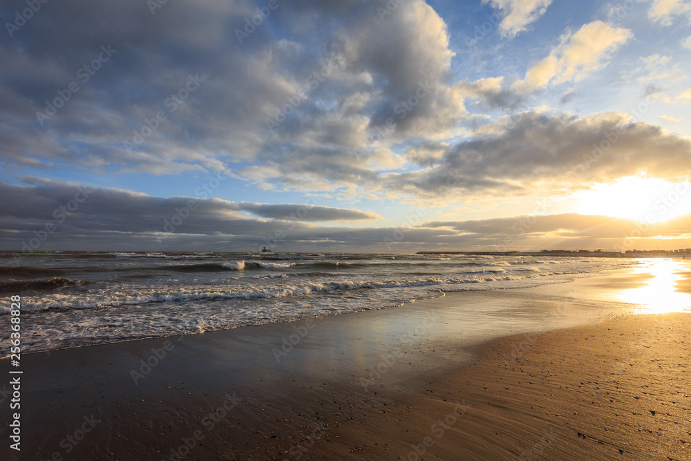 Fototapeta premium beach and sea in winter