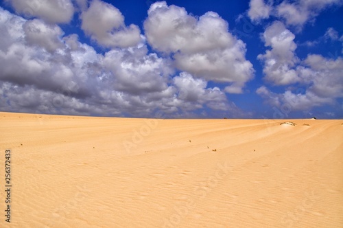 sand dunes of corralejo on fuerteventura canary island in spain