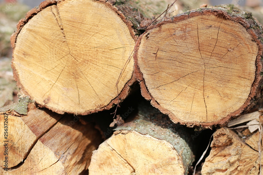 background of wood full frame background of wood full frame