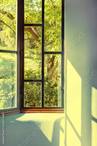 View to green sunny garden through vintage window