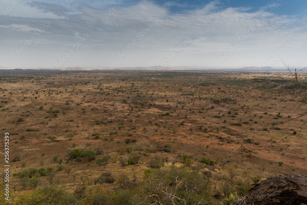 Der Manyara Nationalpark - Tansania