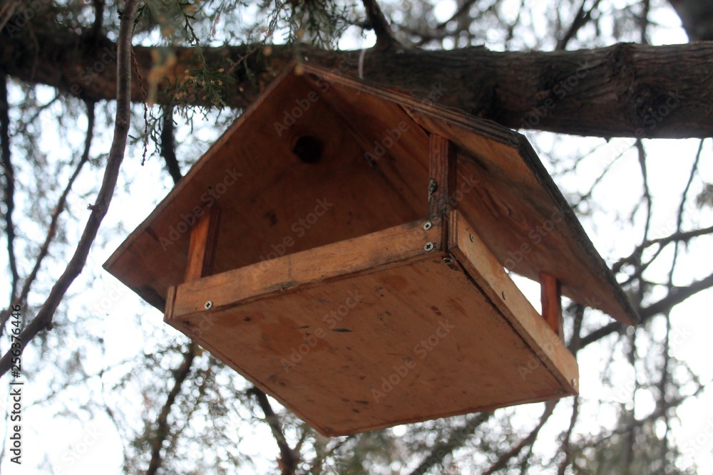 wooden bird feeders in the park on the tree wooden bird feeders in the park on the tree
