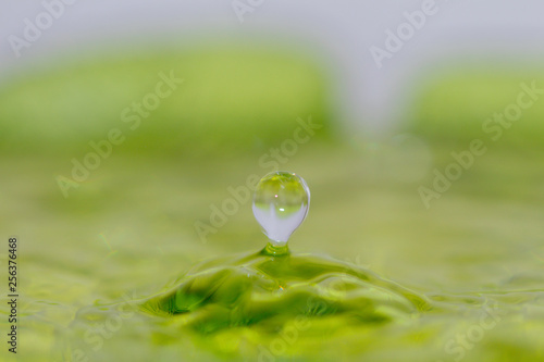 Drop of water in green background.