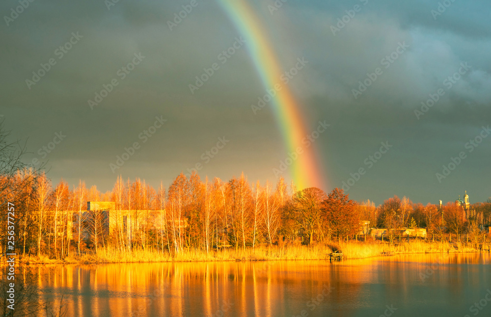 Golden magical landscape with rainbow 