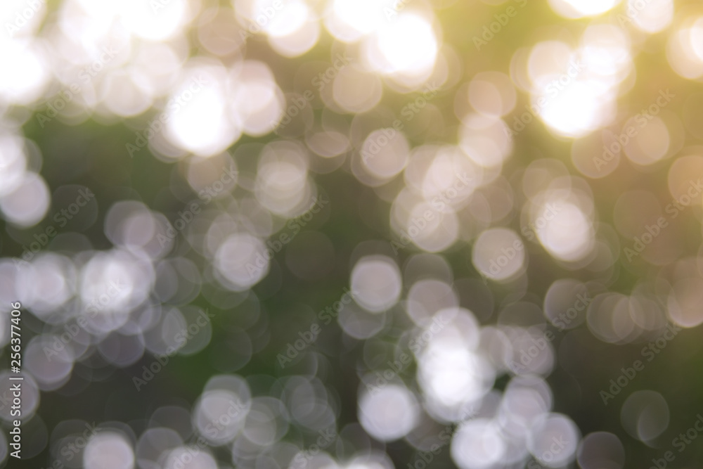 Sunlight yellow bio background, abstract blurred foliage sun light. Organic design nature abstract background with copyspace for text advertising design. Blur nature image in sunshine and bokeh effect Sunlight yellow bio background, abstract blurred foliage sun light. Organic design nature abstract background with copyspace for text advertising design. Blur nature image in sunshine and bokeh effect