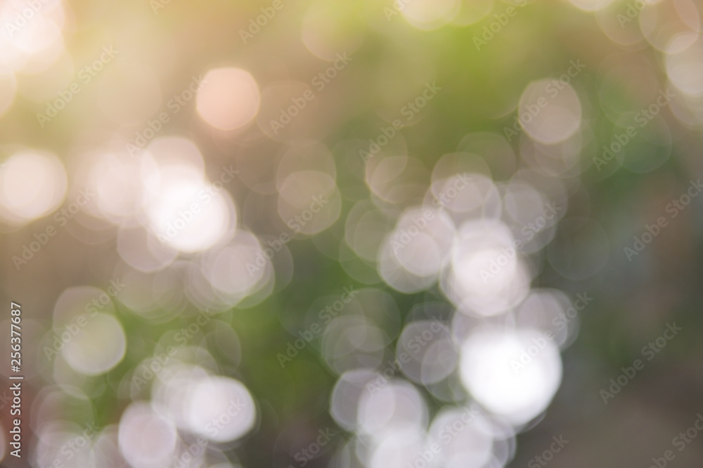 Obraz premium Defocused abstract nature background yellow leaves and bokeh lights. Royalty high-quality free stock image of natural blurred bokeh background from leaf with copyspace for text advertising design
