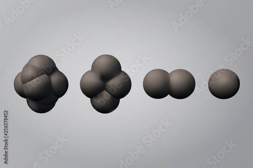 The process of cell division.