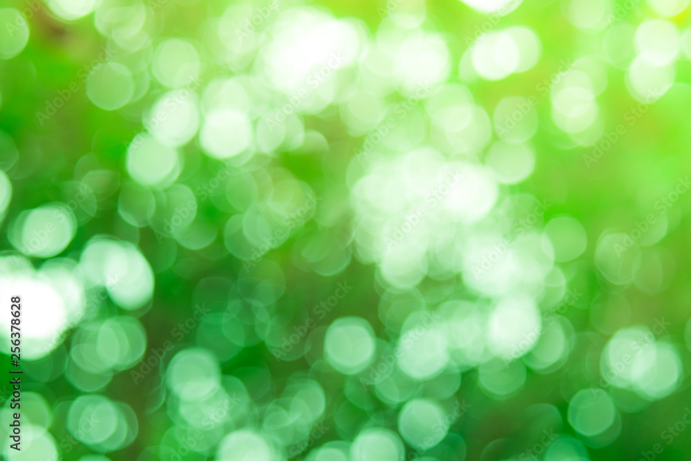 Sunlight yellow bio background, abstract blurred foliage sun light. Organic design nature abstract background with copyspace for text advertising design. Blur nature image in sunshine and bokeh effect Sunlight yellow bio background, abstract blurred foliage sun light. Organic design nature abstract background with copyspace for text advertising design. Blur nature image in sunshine and bokeh effect
