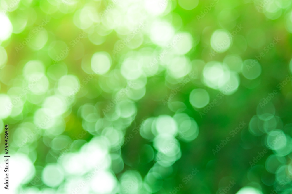 Obraz premium Defocused abstract nature background yellow leaves and bokeh lights. Royalty high-quality free stock image of natural blurred bokeh background from leaf with copyspace for text advertising design