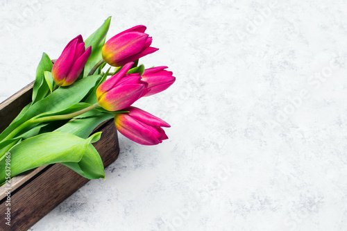 Fototapeta Naklejka Na Ścianę i Meble -  Tulip flower in wooden box on white  background, copy space. A beautiful spring bouquet of pink flowers