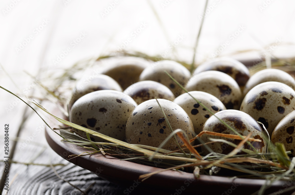 Fresh organic quail eggs in clay plate on wooden rustic kitchen table. Space for text Fresh organic quail eggs in clay plate on wooden rustic kitchen table. Space for text